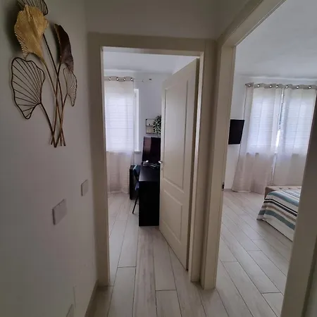 Amati 彼得拉桑塔